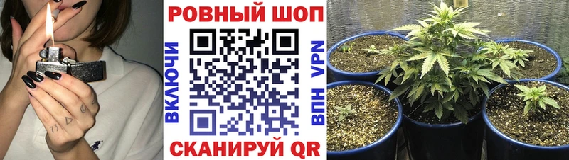 Купить COCAIN  МЕФ  APVP  МАРИХУАНА  ГАШ  Светлоград