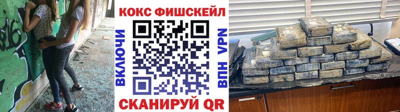 Cocaine Fish Scale  Купить закладки  Светлоград 