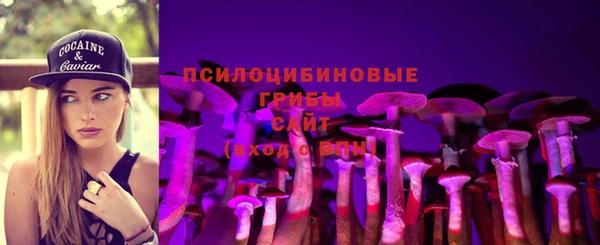 скорость Горняк