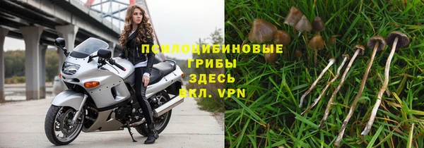 дурь Вяземский