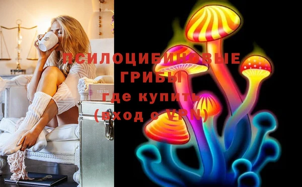 дурь Вяземский