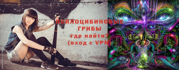 дурь Вяземский