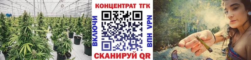 ТГК концентрат  Купить закладки  Светлоград 